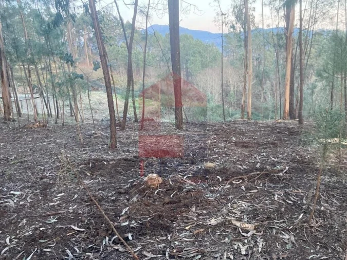 Terreno para Venda em Sabariz Foto 5
