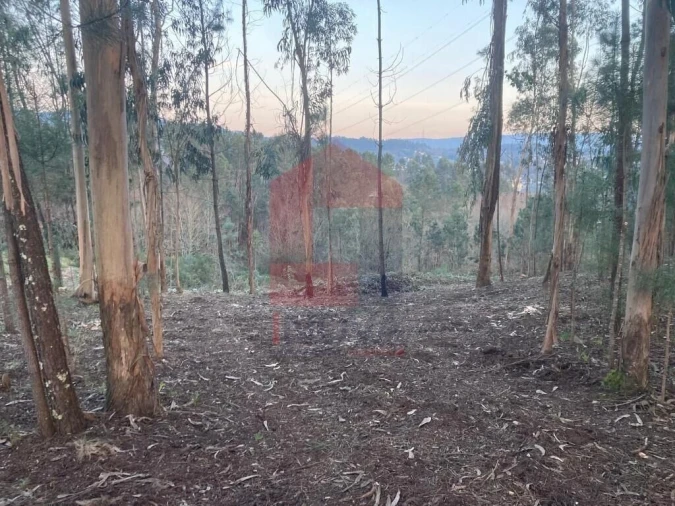 Terreno para Venda em Sabariz Foto 21