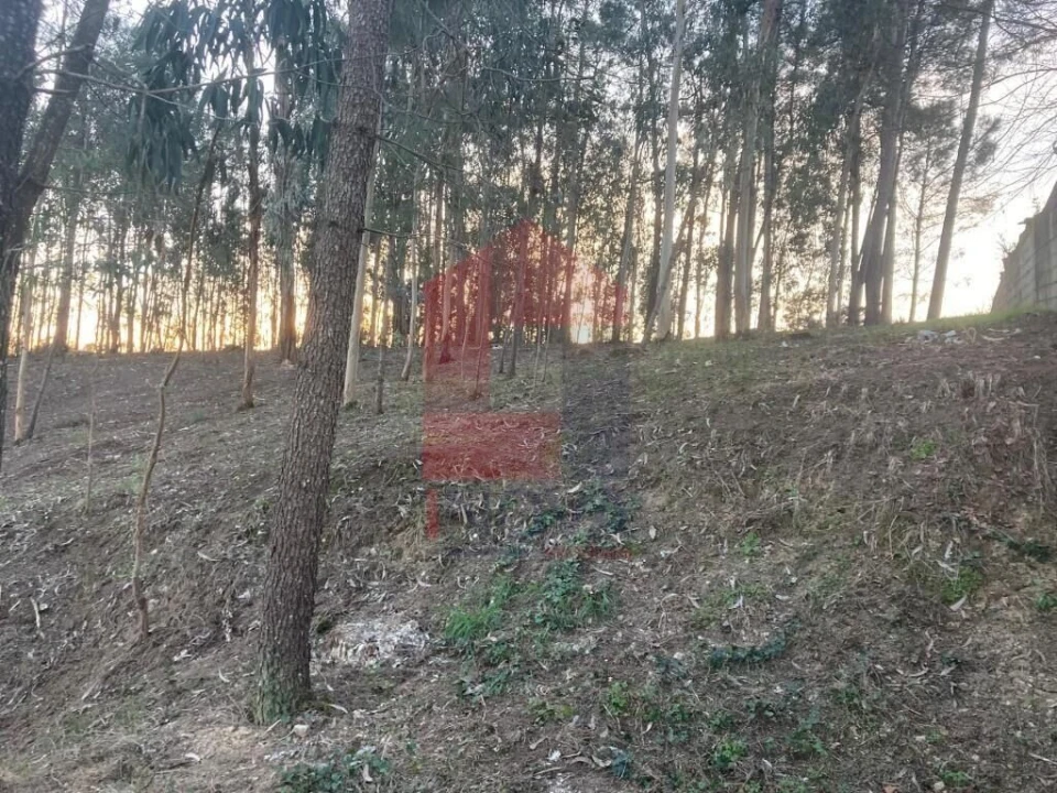 Terreno para Venda em Sabariz Foto 15