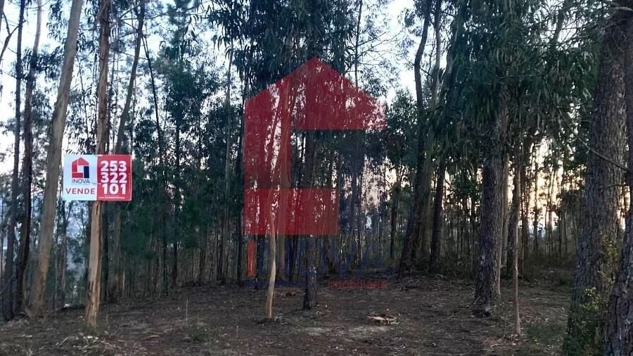 Terreno para Venda em Sabariz