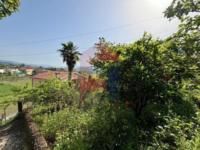 Moradia T3 para Venda em Vila Verde e Barbudo Foto 64