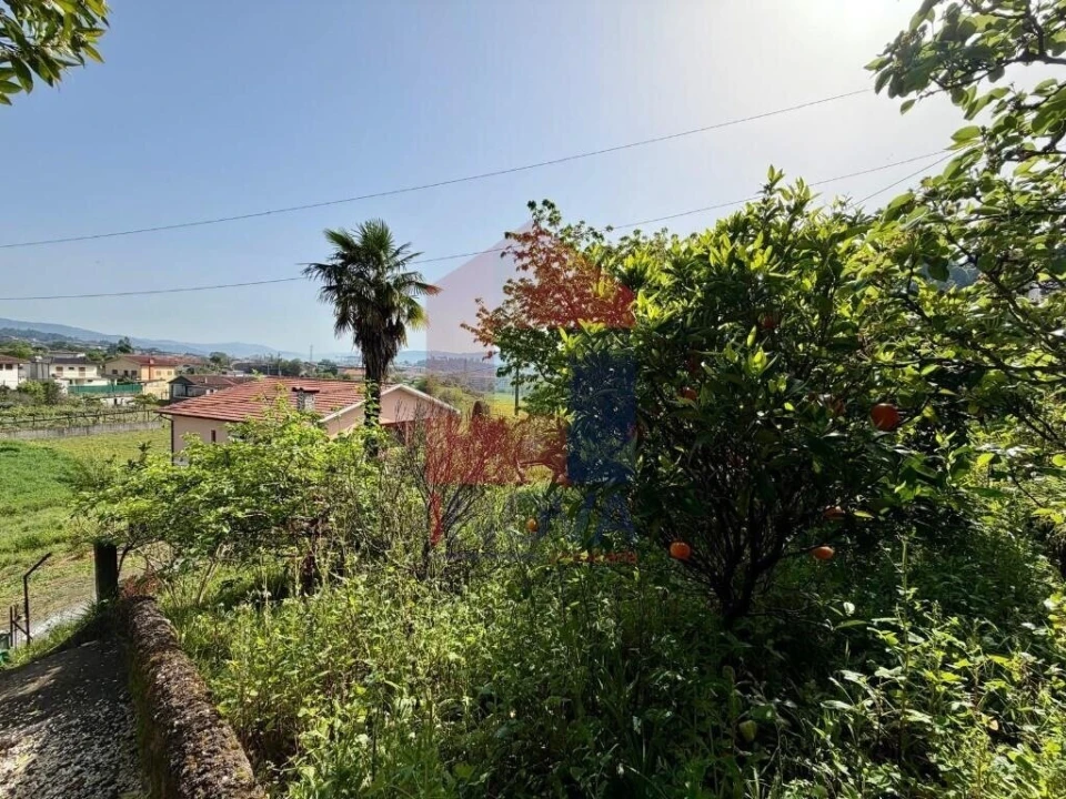 Moradia T3 para Venda em Vila Verde e Barbudo Foto 64