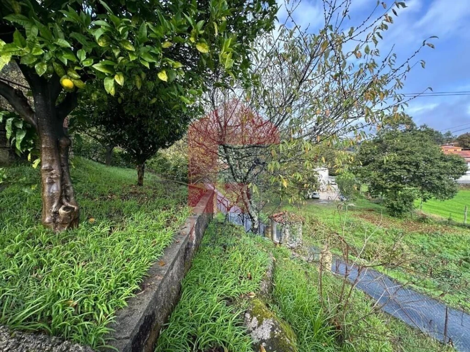 Moradia T3 para Venda em Vila Verde e Barbudo Foto 28