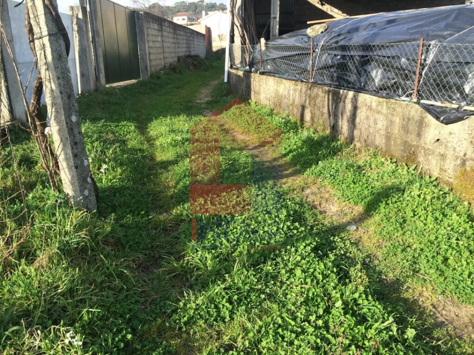 Terreno para Venda em Vila Verde e Barbudo Foto 4