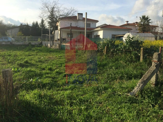Terreno para Venda em Vila Verde e Barbudo Foto 3
