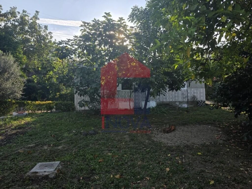 Moradia T1 para Venda em Pico Foto 21