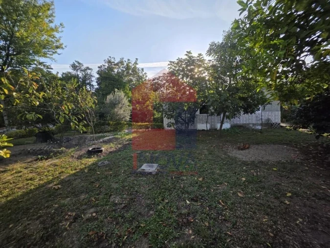 Moradia T1 para Venda em Pico Foto 20