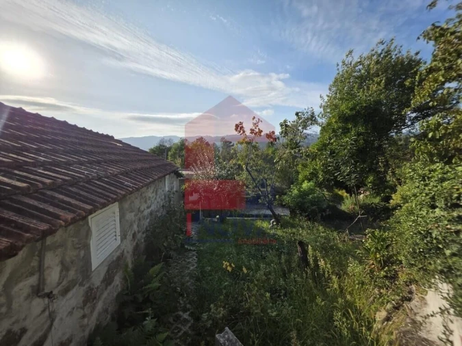 Moradia T1 para Venda em Pico Foto 28