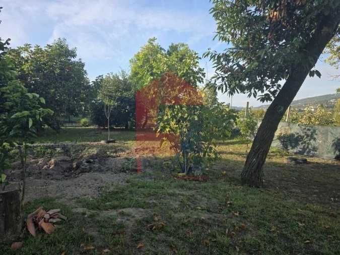 Moradia T1 para Venda em Pico Foto 25