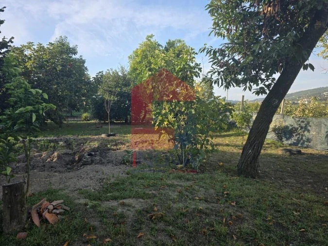 Moradia T1 para Venda em Pico Foto 22