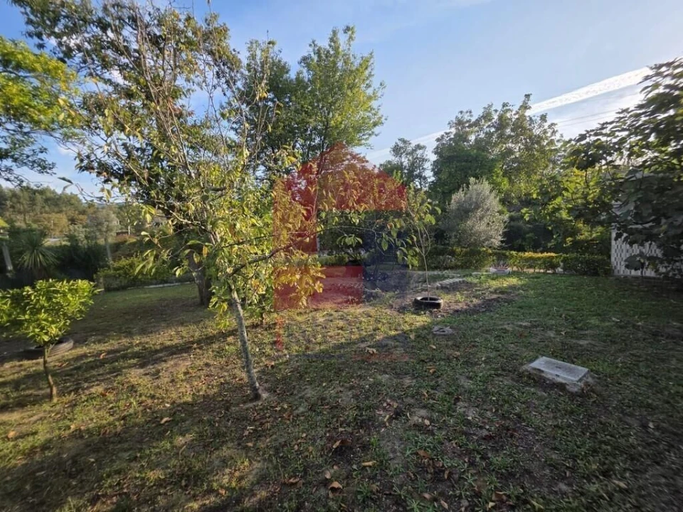 Moradia T1 para Venda em Pico Foto 18