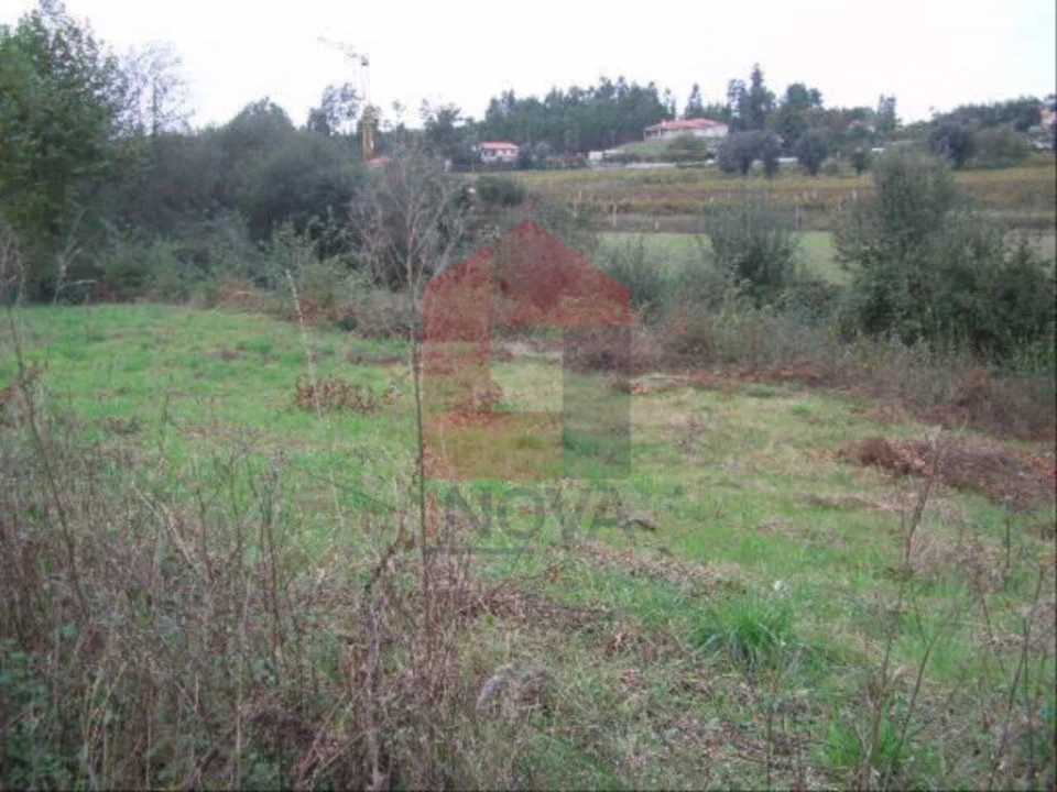 Terreno para Venda em Coucieiro Foto 1