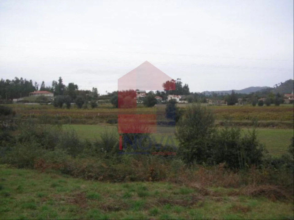 Terreno para Venda em Coucieiro Foto 4