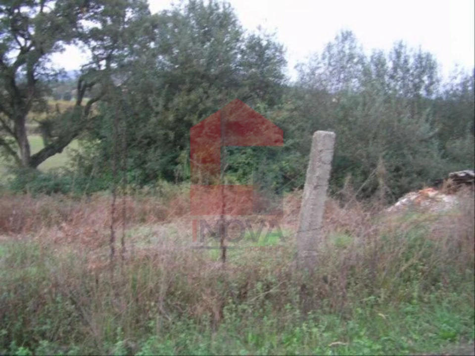 Terreno para Venda em Coucieiro Foto 2