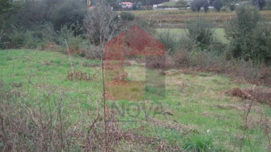 Terreno para Venda em Coucieiro