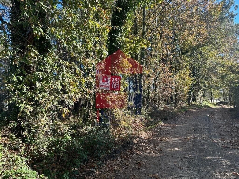 Terreno para Venda em Vila de Prado Foto 1