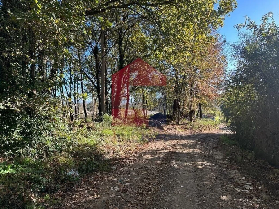 Terreno para Venda em Vila de Prado Foto 5