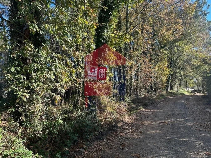Terreno para Venda em Vila de Prado Foto 1