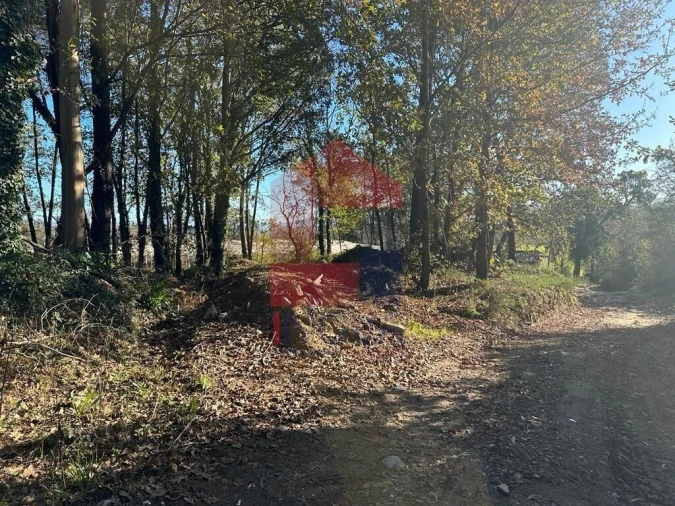 Terreno para Venda em Vila de Prado Foto 8