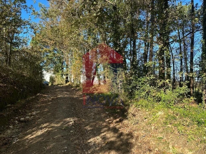 Terreno para Venda em Vila de Prado Foto 10