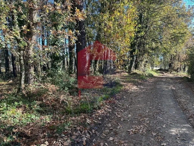 Terreno para Venda em Vila de Prado Foto 3