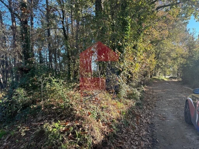 Terreno para Venda em Vila de Prado Foto 2