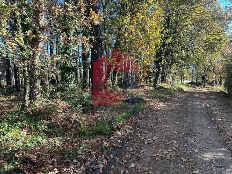 Terreno para Venda em Vila de Prado Foto 3