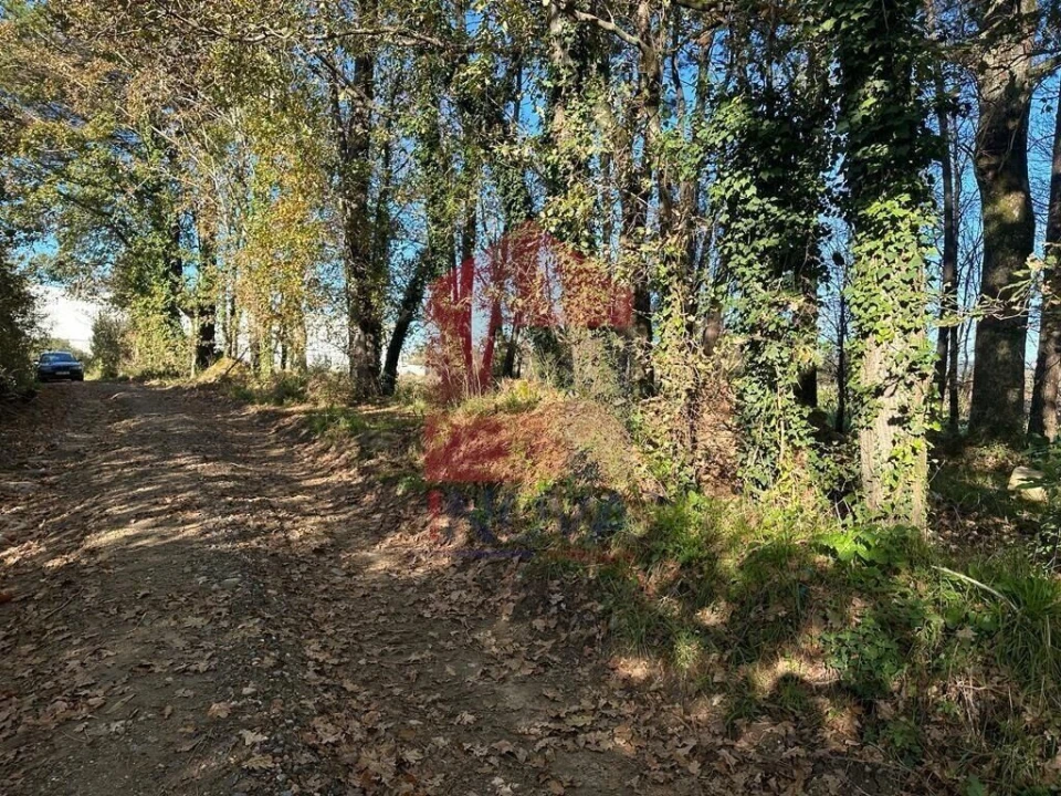 Terreno para Venda em Vila de Prado Foto 7