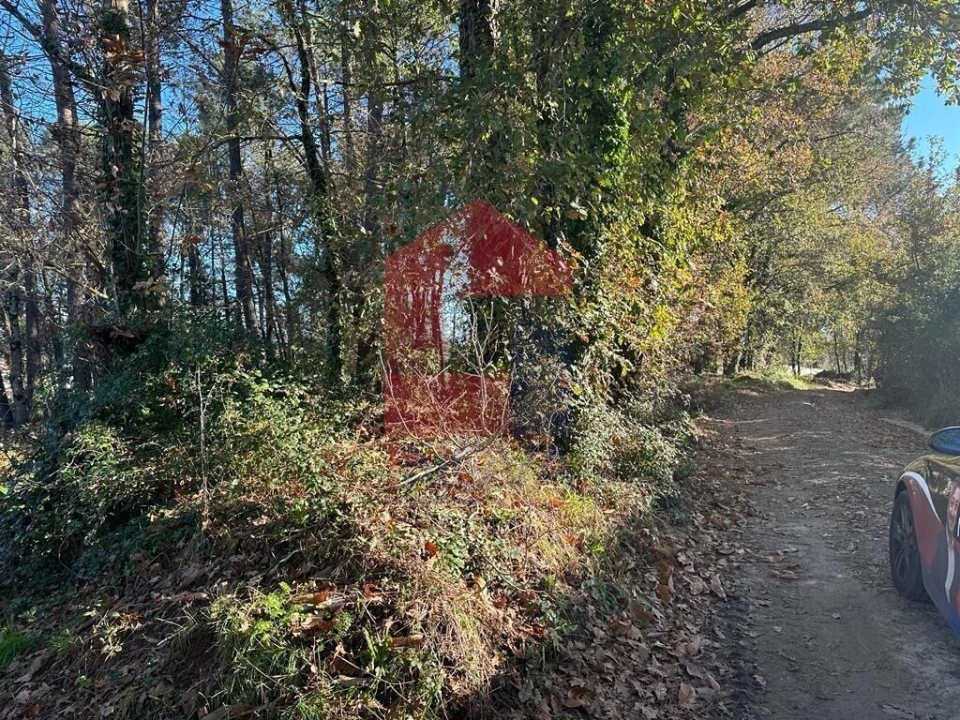 Terreno para Venda em Vila de Prado Foto 2