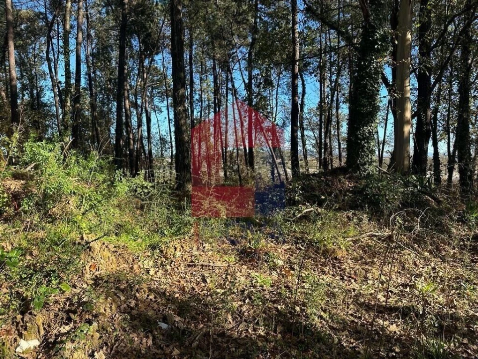 Terreno para Venda em Vila de Prado Foto 9