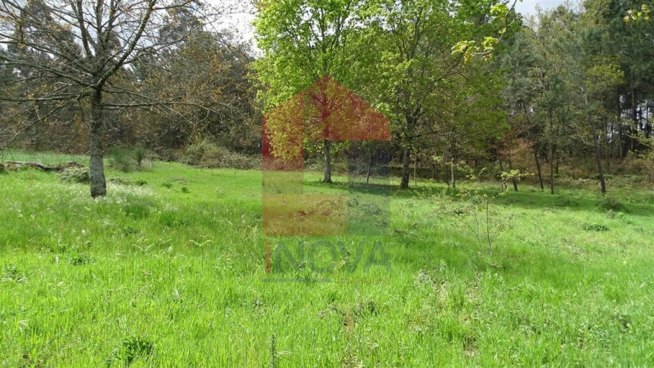 Terreno para Venda em Coucieiro Foto 6