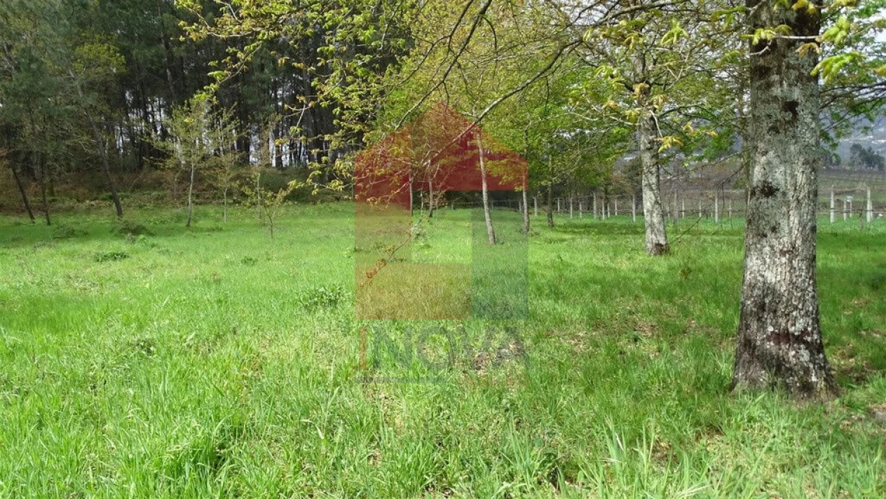 Terreno para Venda em Coucieiro Foto 7