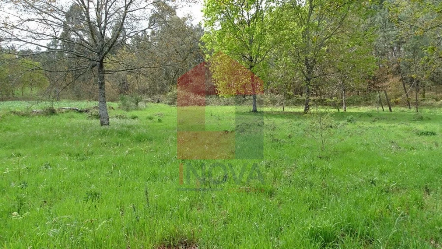 Terreno para Venda em Coucieiro Foto 5