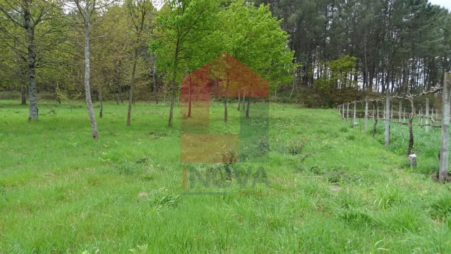 Terreno para Venda em Coucieiro Foto 2