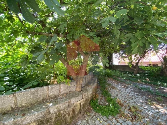 Moradia T5 para Venda em Prado (São Miguel) Foto 47