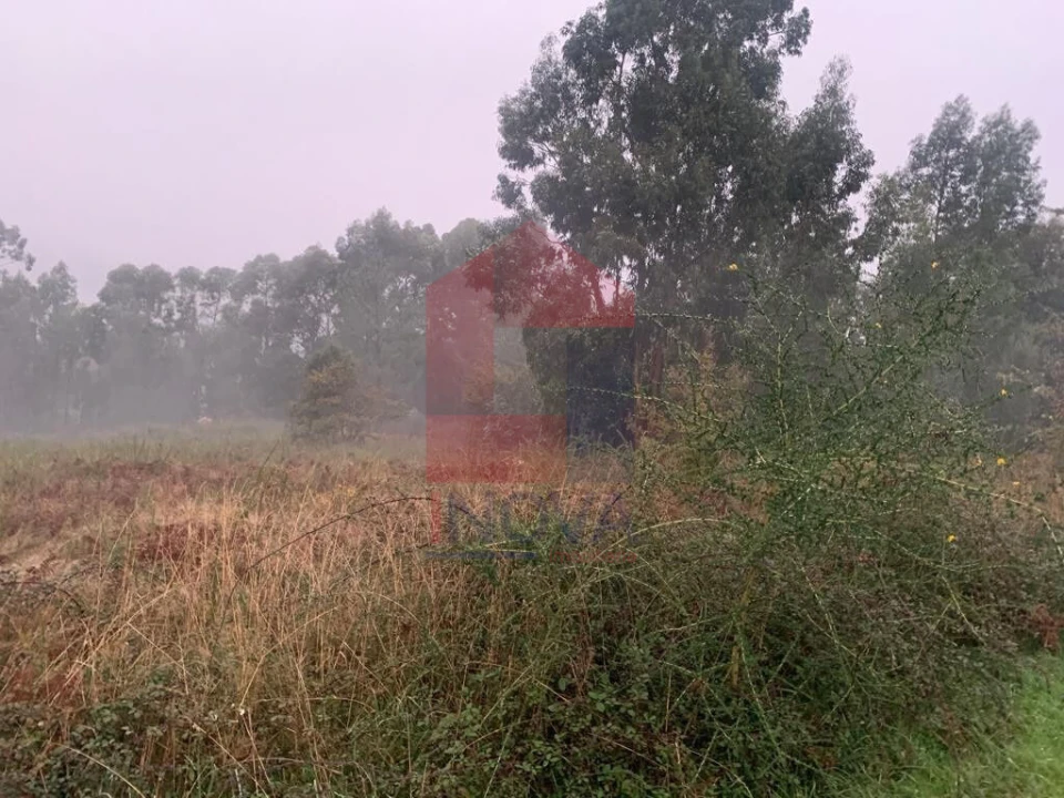 Terreno para Venda em Covelas Foto 4