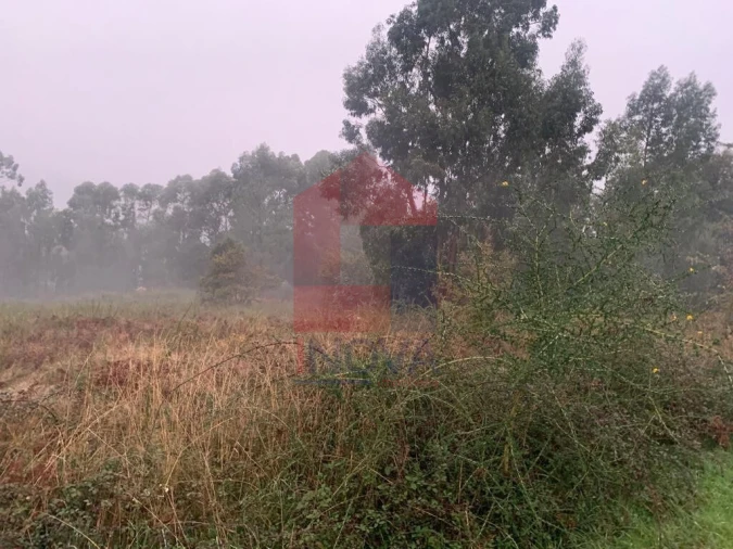 Terreno para Venda em Covelas Foto 4