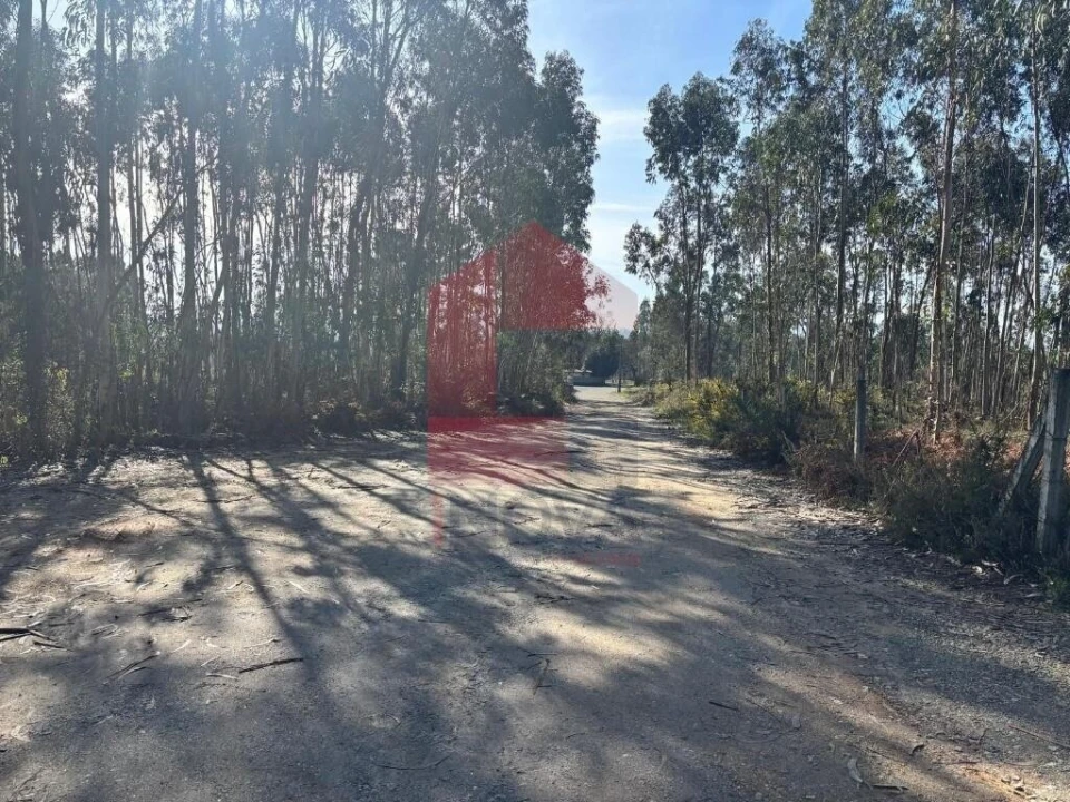 Terreno para Venda em Oleiros Foto 33