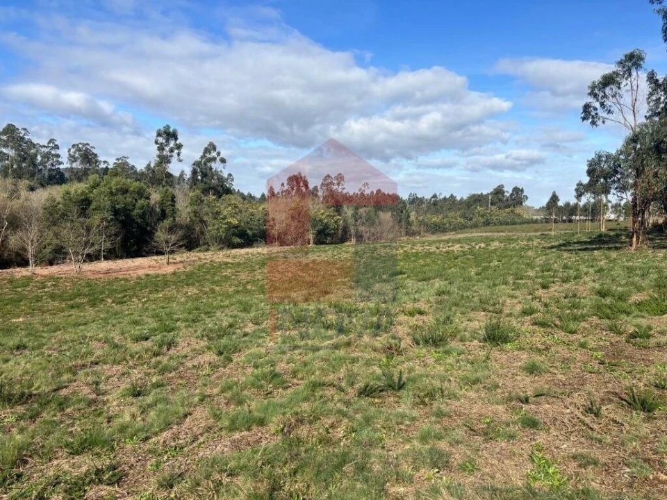 Terreno para Venda em Oleiros Foto 7