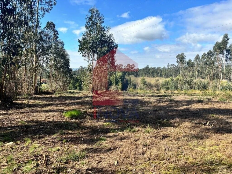 Terreno para Venda em Oleiros Foto 13