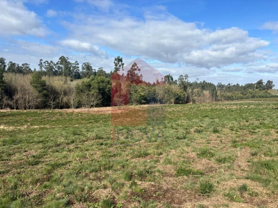 Terreno para Venda em Oleiros Foto 5