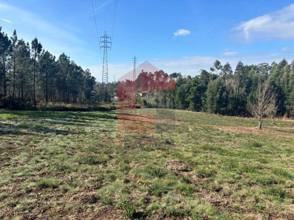 Terreno para Venda em Oleiros Foto 2