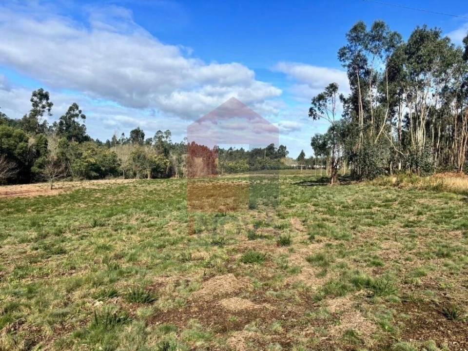 Terreno para Venda em Oleiros Foto 16