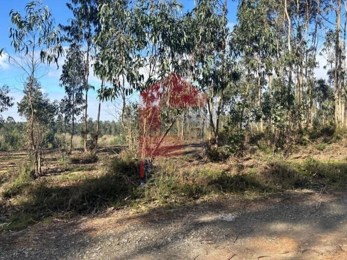 Terreno para Venda em Oleiros Foto 15