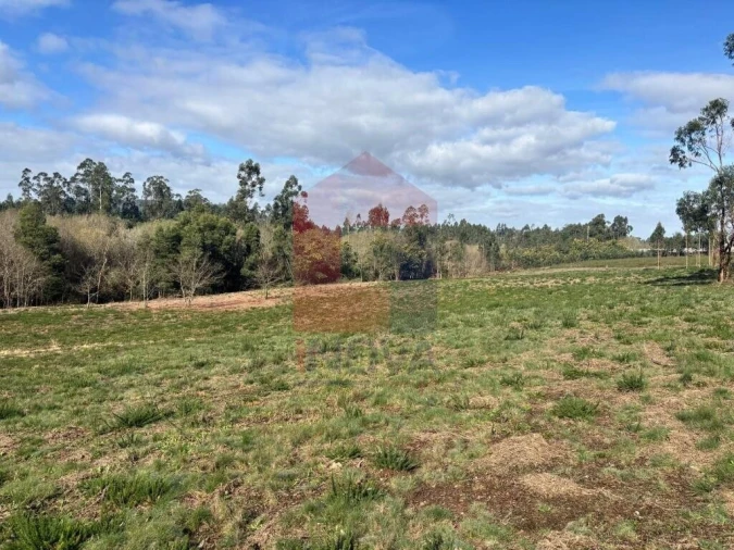Terreno para Venda em Oleiros Foto 18
