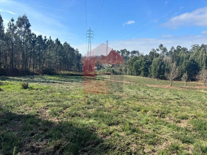 Terreno para Venda em Oleiros Foto 23
