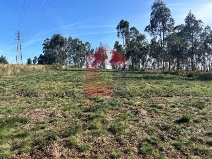 Terreno para Venda em Oleiros Foto 9