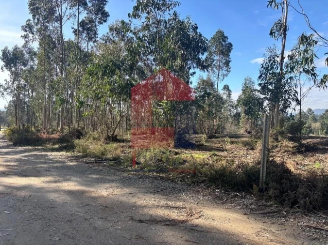 Terreno para Venda em Oleiros Foto 25