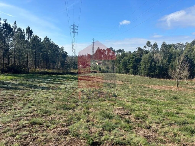 Terreno para Venda em Oleiros Foto 6