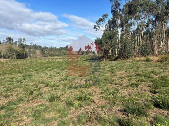 Terreno para Venda em Oleiros Foto 22